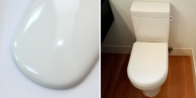 Review of ROCA SANITARIOS Giralda D-shaped Toilet Seat