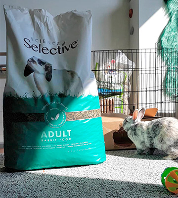 Review of Supreme 10kg Petfoods Science Selective Adult Rabbit