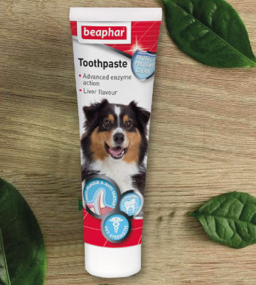 Review of Beaphar Liver flavour Toothpaste Kit