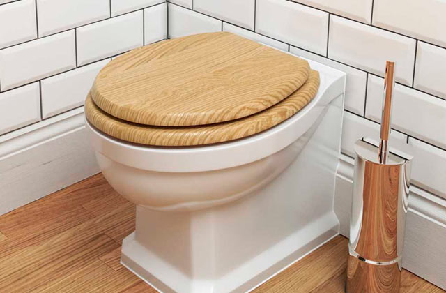 Best Toilet Seats  
