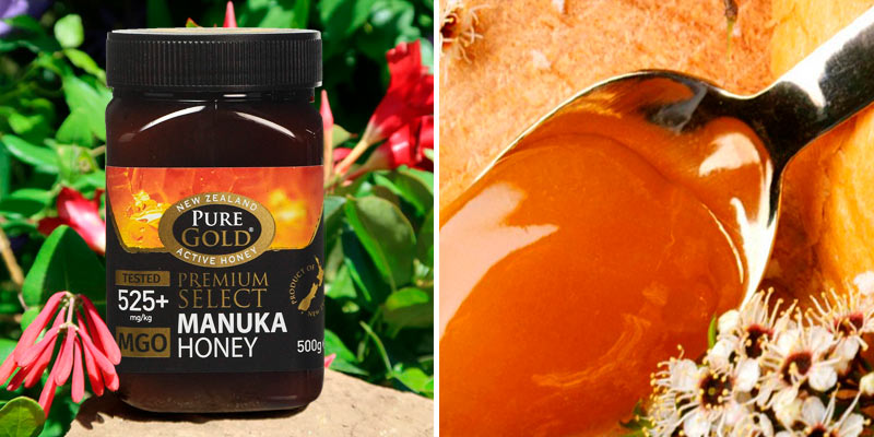 Review of Pure Gold Premium Select Manuka Honey