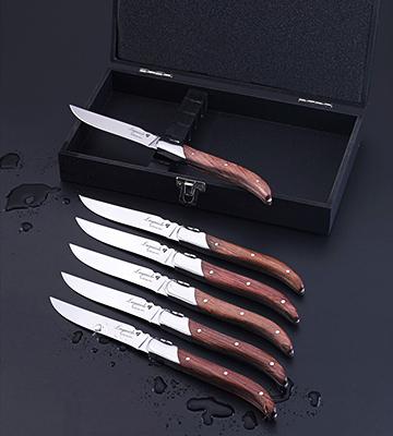 Review of Flyingcolors Laguiole Steak Knife Set