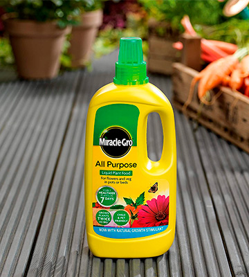 Review of Miracle-Gro All Purpose Concentrated Liquid Plant Food
