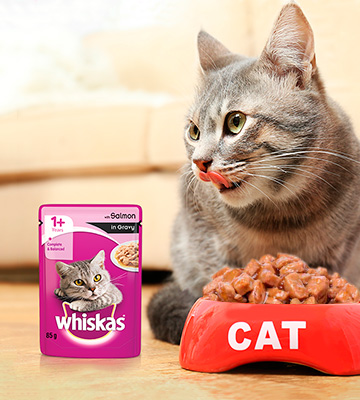 Review of whiskas 1+ Wet Cat Food for Adult Cats