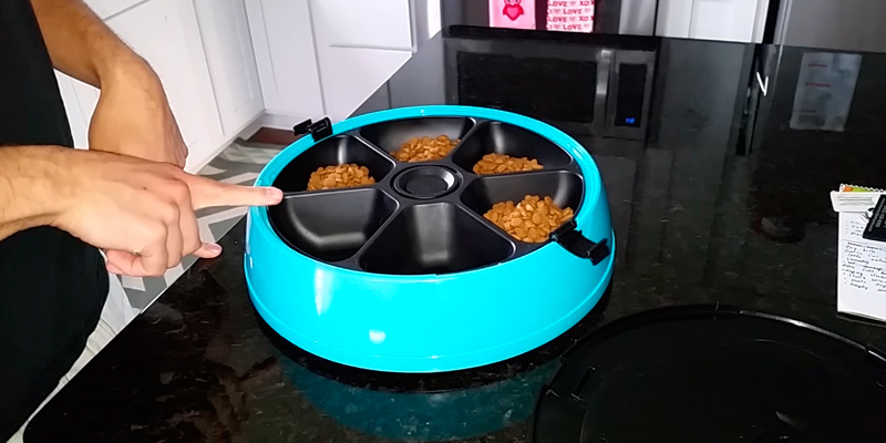 Review of Bunty 6 Day Meal Automatic Pet Feeder