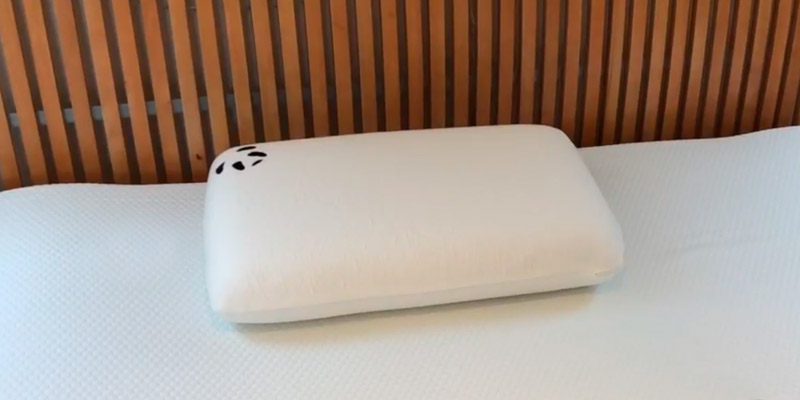 Review of Panda Panda-001 Memory Foam Bamboo Pillow
