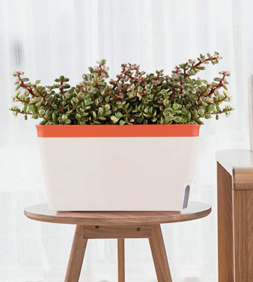 Review of T4U 27CM Set of 3 Self Watering Planter Pot Rectangle