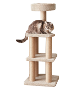 AmazonBasics CT-114 Cat Activity Tree with Scratching Posts