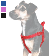 Ancol 179020 Padded Nylon Dog Harness