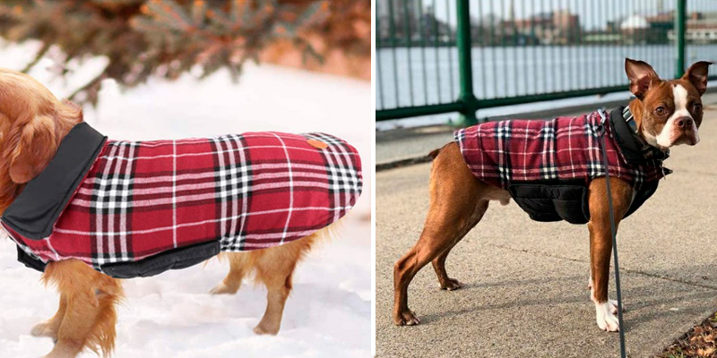 Review of IREENUO Reversible Plaid Dog Coat