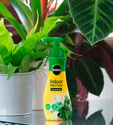 Review of Miracle-Gro Indoor Concentrated Plant Food