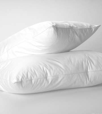 Linens Limited Hypoallergenic White Duck Feather Pillows - Bestadvisor