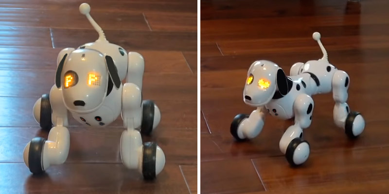 Review of Dinglong RC Smart Dog Remote Control Robot Dog Toy