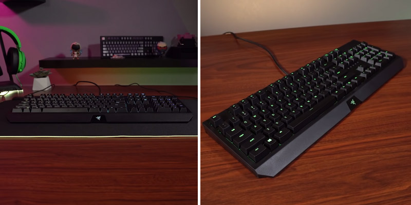 Razer BlackWidow (2019) Mechanical Gaming Keyboard (RGB Chroma Enabled) in the use