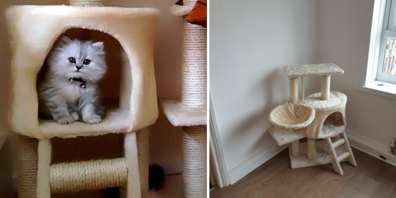 Review of Confidence Pet Deluxe Cat Tree
