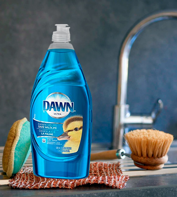 Dawn Original Scent Ultra Dishwashing Liquid - Bestadvisor