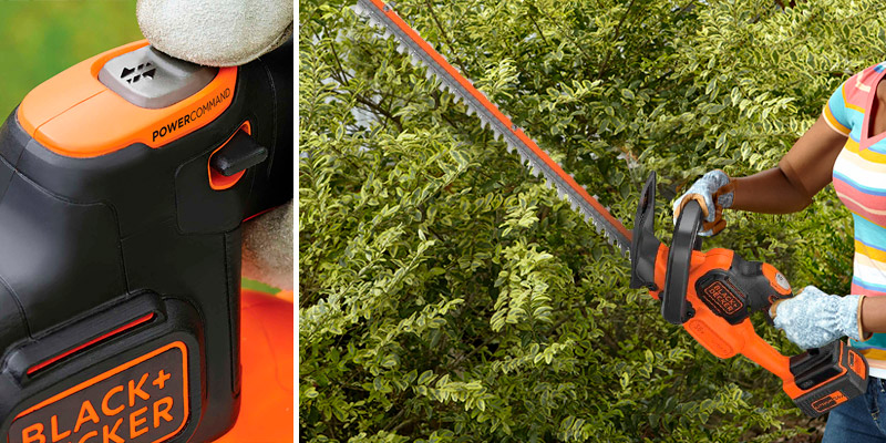 Review of BLACK+DECKER Anti-Jam Hedge Trimmer with 2 Ah Battery