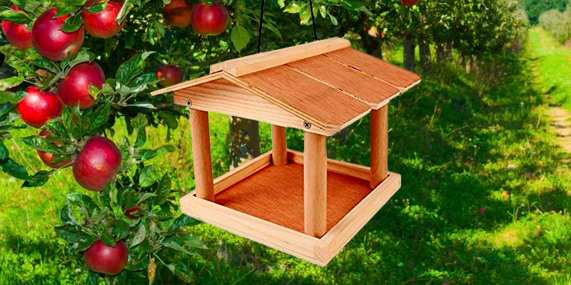 Review of Kingfisher HBT Hanging Bird Table