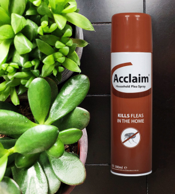 Review of Acclaim Household Flea Spray