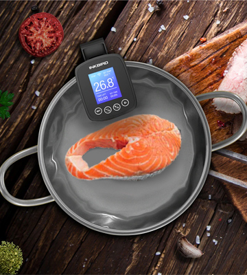 Review of Inkbird ISV-100W Wi-Fi Sous Vide Cooker
