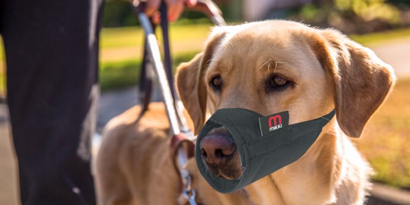 Review of Mikki Nylon Soft Breathable Nylon Dog and Puppy Muzzle