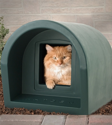 Review of Mr Snugs MSCKG01 Cat Shelter