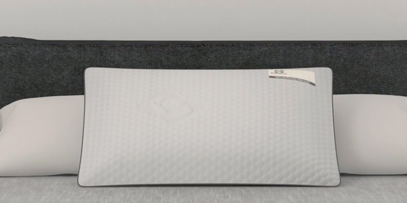 Review of Sealy 389853GE Optimal Latex Pillow