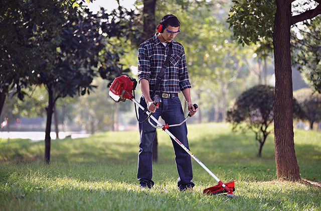 Best Edgers to Tidy Up and Shape Your Lawn  