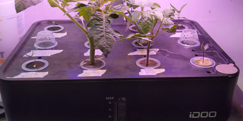 Review of iDoo ‎ID-IG301 Hydroponics Growing System