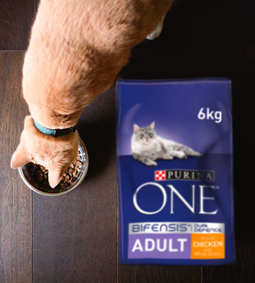 Review of Purina ONE Adult Cat Food Chicken & Wholegrains