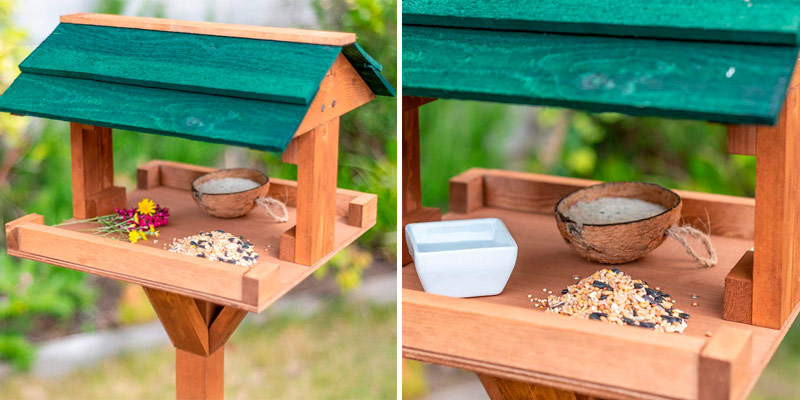 Review of The Hutch Company 11950 Anti-fungal Heavy Duty Bird Table
